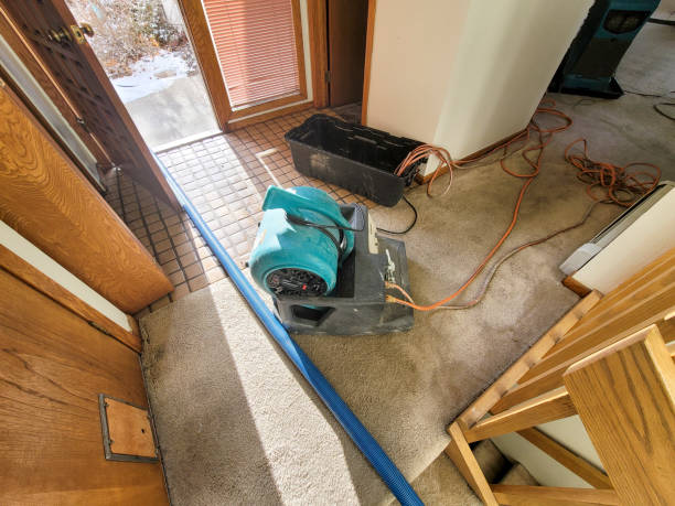 Best Basement Water Damage Restoration in Carolina Shores, NC